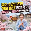 조산공원길 | 충주 수안보 온천 여행 벚꽃과 함께 즐기는 왕의 온천 효능과 벚꽃길 꿩요리 후기