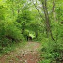 원주굽이길 16코스 황둔쌀찐빵길 이미지