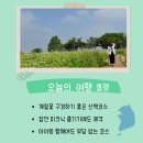 탑동농장 | 수원 탑동시민농장 주말 나들이 추천