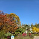 보라매안전체험관 | 보라매시민안전체험관 시민안전파수꾼 교육 후기, 보라매안전체험관 무료 소방, 심폐소생술, 재난 체험