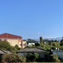 귀니따 | 제주도 여행 너와의첫여행 감귤밭카페, 노형동 흑돼지 하여금, 주모 후기