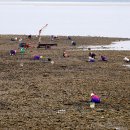 고대도6 이미지