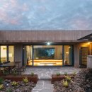 소나무를 품다 이미지