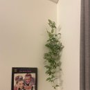 글루호텔 이미지