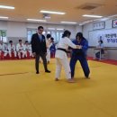 드림바디 유도클럽 이미지