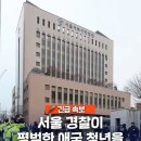 애국청년 최시아 체포한 양아치 도동놈 경찰의 황당한 이유 이미지