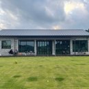 봄이야 놀자 이미지