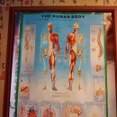 동양안마원 이미지