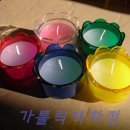 꽃초 Daum카페