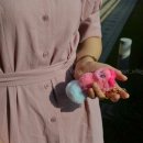 호몰호몰 이미지