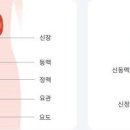 소변에 기름 거품 냄새 생기는 원인 이미지