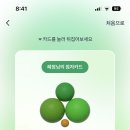 경복궁 삼계탕 네이버블로그