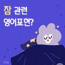 밤 셀까 | Eng] 아침형, 저녁형 인간을 영어로? / 왜 잠이 안올 때 양을 셀까? / 잠 관련 영어 표현 / Sleeping habit