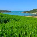 반디불민박 이미지