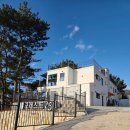 올펜션 | 여기라면 또 올 것 같아요 경주애견동반펜션 솔직후기