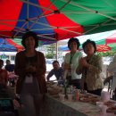 송진초등학교 이미지