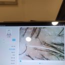 탈모케어존