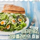 "달걀의 3배 효과?" 엄지손가락만 한데 '체지방 청소부'라 불리는 식품 이미지