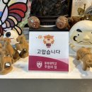 아관원 | 청주 가경동 중식맛집 아관원! 다채로운 요리와 코스요리까지~