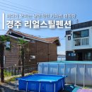 해뜨는바다 | 경주 펜션 양남 바다 오션뷰와 낭만 있는 카라반 애견 동반 숙소 추천 해뜨는바다펜션