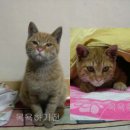 대전고속버스터미널 이미지