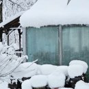 로뎅853-1 이미지