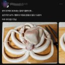 문어 무게의 30프로는 껍데기, 빨판인듯... 이미지