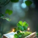 주식회사 슈퍼문 이미지