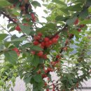 민주네집 이미지