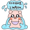 달밤족발충북