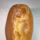 야누스 - 김해시 평전로 3 | 야누스
