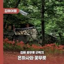 석산개발 | 김해 꽃무릇 군락지 은하사와 꽃무릇