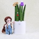 플랜테리어이플