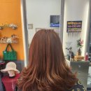 은정미용실 | 왕길동미용실 은정헤어휠에 다녀온 후기입니다