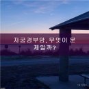부천정다운여성의원 네이버블로그