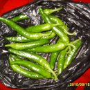 문규농장 이미지