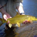 황금3로 이미지