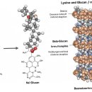 장기우리약국 이미지