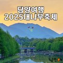 동광동할머니 원로의집 | 담양 대나무축제 2025 첫째날 후기