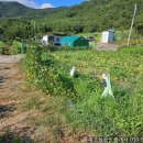 우원부동산공인중개사사무소 이미지