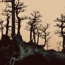 주자학과 양명학 이미지