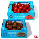 토마토라이브