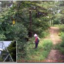 목상초등학교 이미지