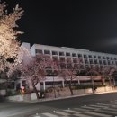 하와이노래연습장 이미지