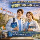 트리니티컨설팅