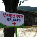 상비민박 이미지