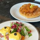 지상낙원 이미지