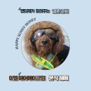 [W31_헤어메이크업] 아이웨딩 통해 예약한 EL (이엘) 헤어메이크업 본식 메이크업 후기