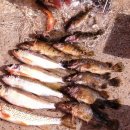 제천농장 이미지