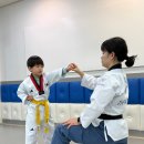 더벨류 태권도 이미지